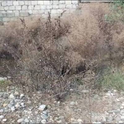 2 Marla Shop Plot For Sale  Attock