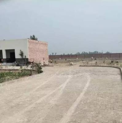 Farm house for sale Kasur