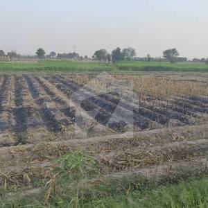 Agri land for sale Only seriour buyer contact 