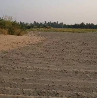 Agrilcultral land for sale mianwali