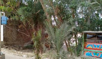 Plot for sale in okara city